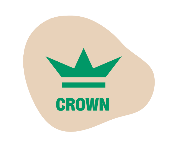 Area_7_CROWN__685_x_560_px__big_bubble