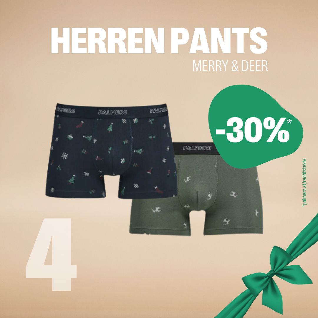 AK_4_Herren_Pants_5f3d2s6h